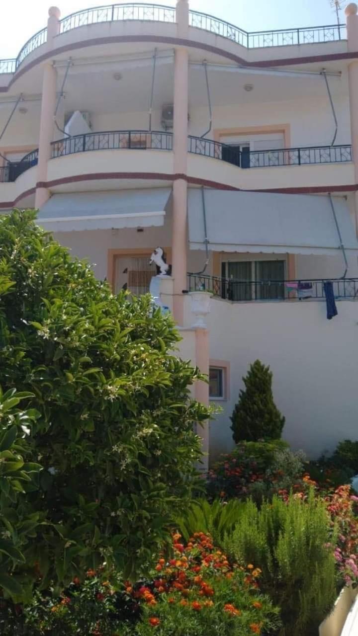 Apartments Rudi Orikum Zewnętrze zdjęcie